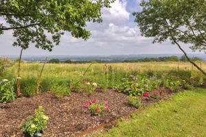 Photo 36- click for photo gallery